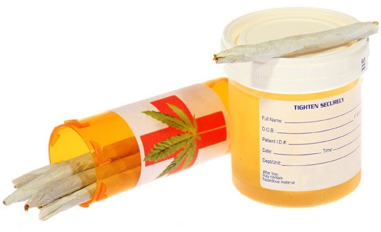 Synthetic Urine Belt 
      Kit Shoemaker Estates Mount Dora FL